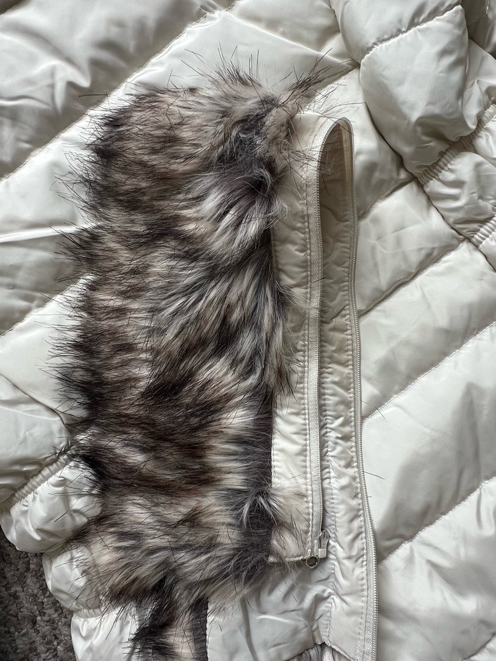The North Face Women's Cream Quilted Hooded Puffer Jacket - Picture 9 of 10